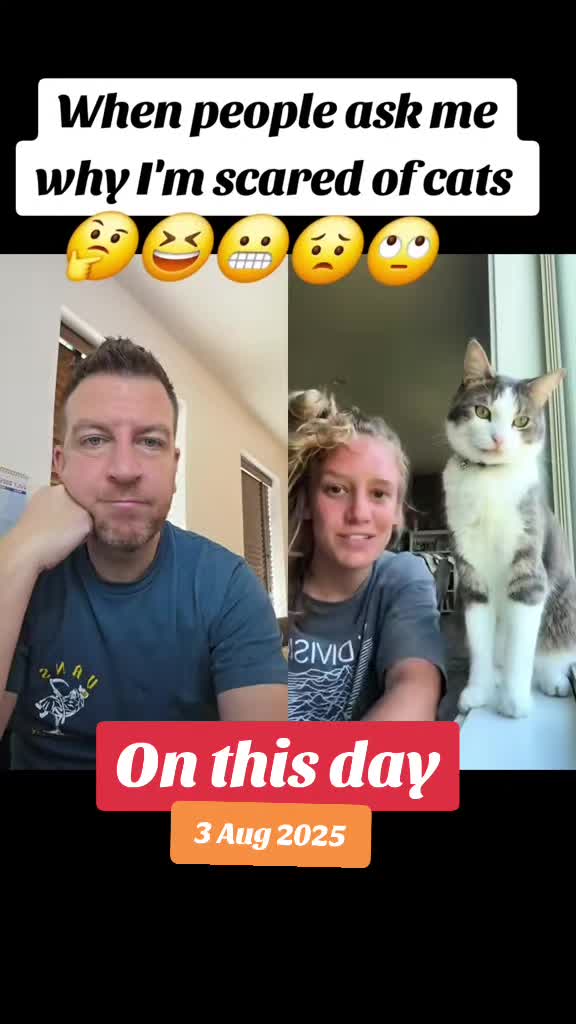 @MattyP