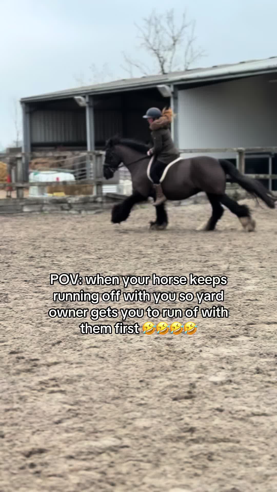 @Sophie&merlin🌸🐴