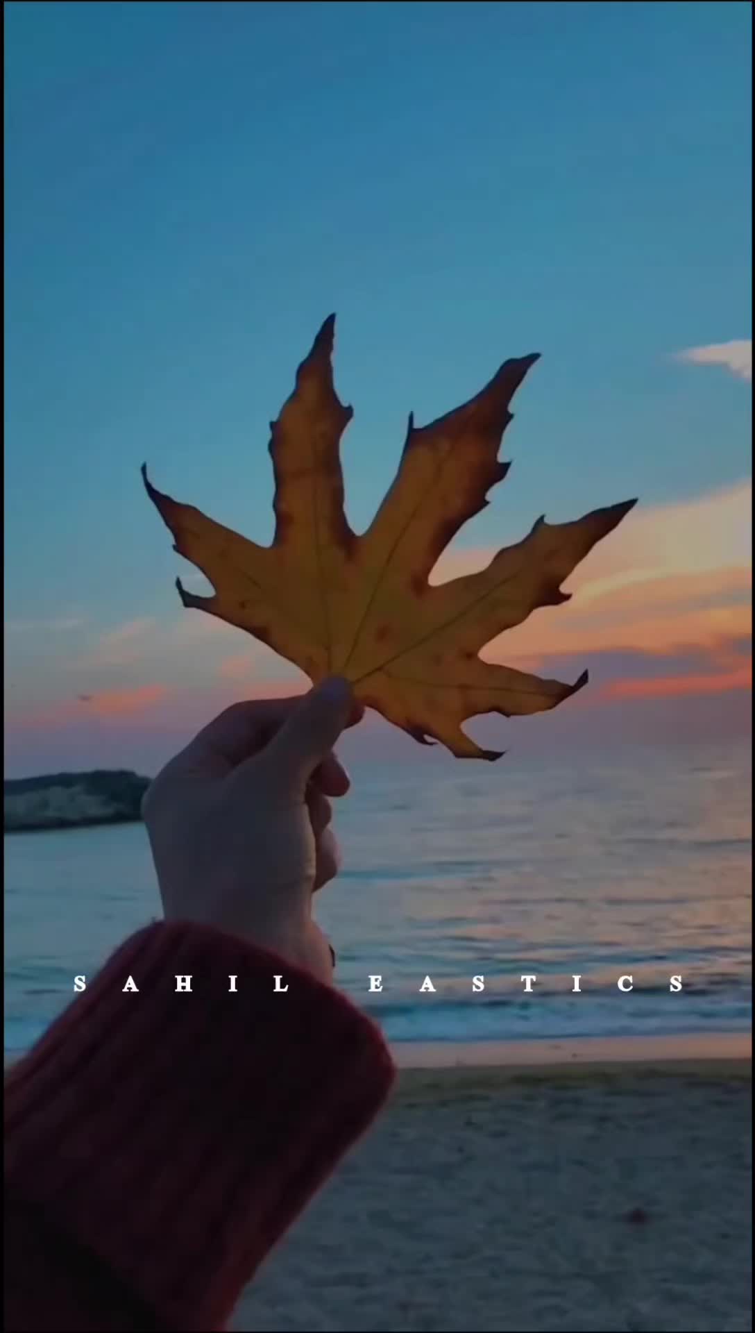 @𝙎𝙖𝙝𝙞𝙡-𝙚𝙨𝙩𝙞𝙘𝙨🌸