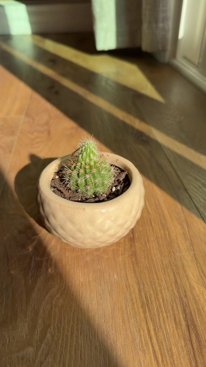 @Plantpusherr
