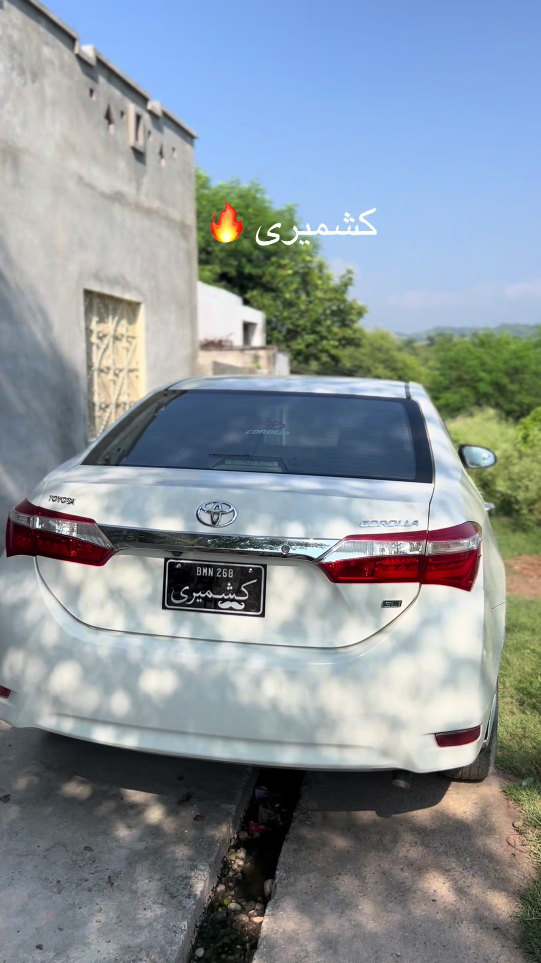 @hassanalinew403