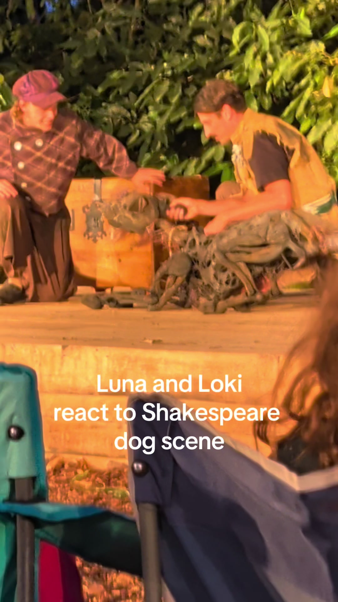@Luna and Loki