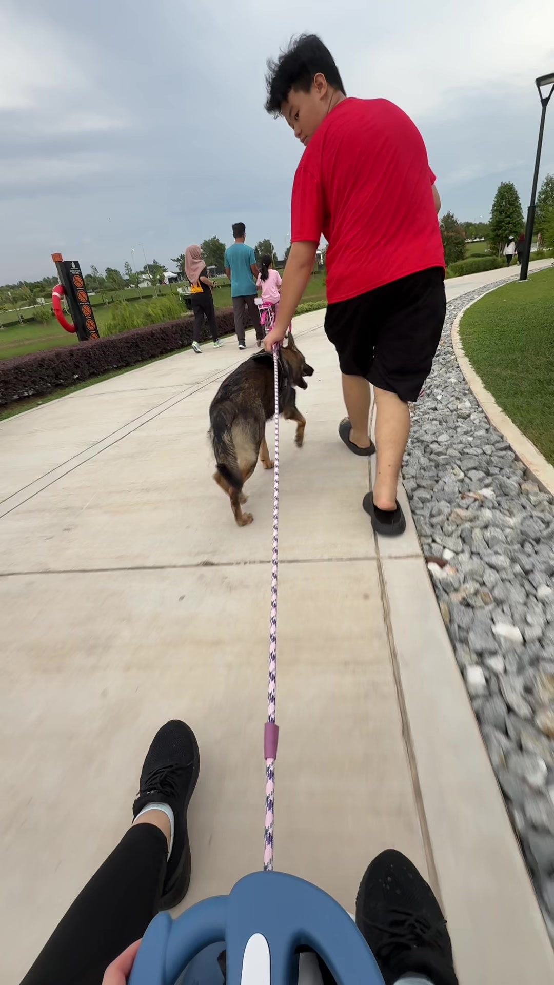 @Jessny Pet Lover