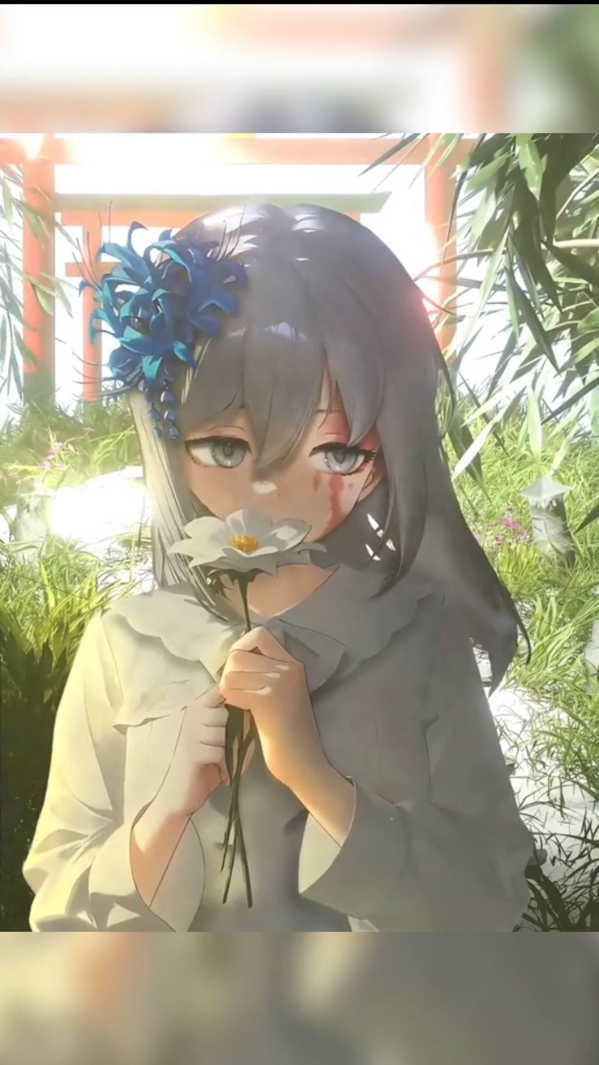 @๐พ๐๐ค ๐๐ช๐๐ฃ ๐ผ๐ฃ๐ ๐ต