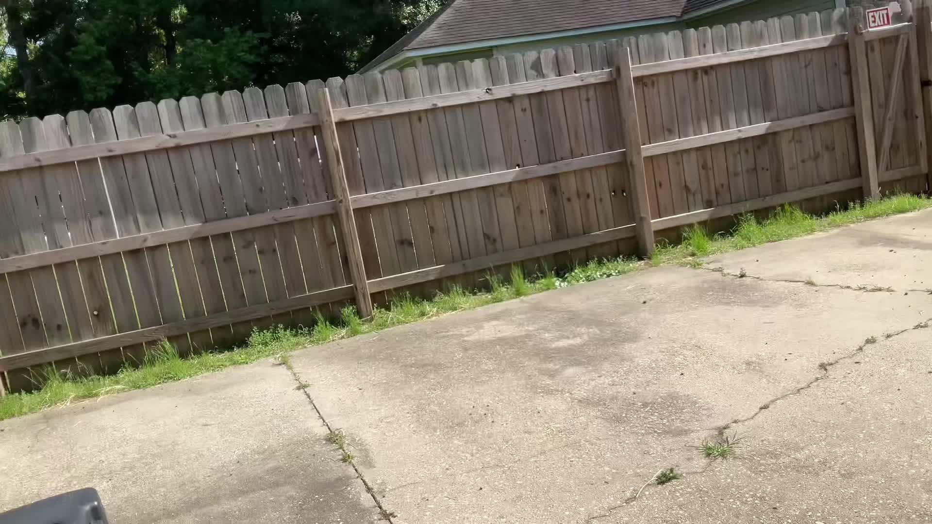 @ThatLuxiniGuy