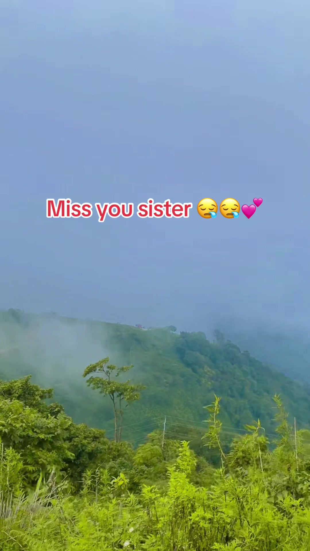 @Shree😍🧚&zwj;♀️🙏