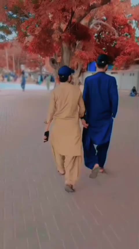 @Meer Baloch 962