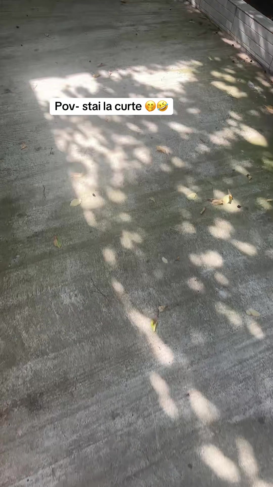@Zudreea