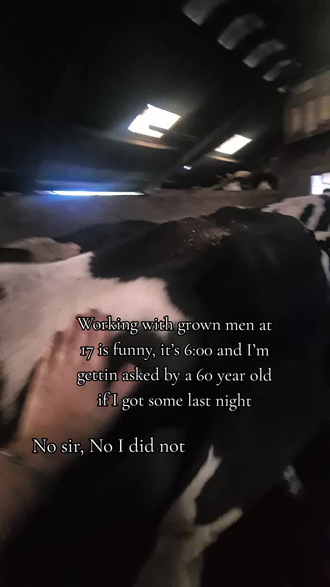 @m.scott 🐄🤠