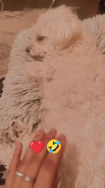 @Nehir Şaroğlu 🇹🇷❤️