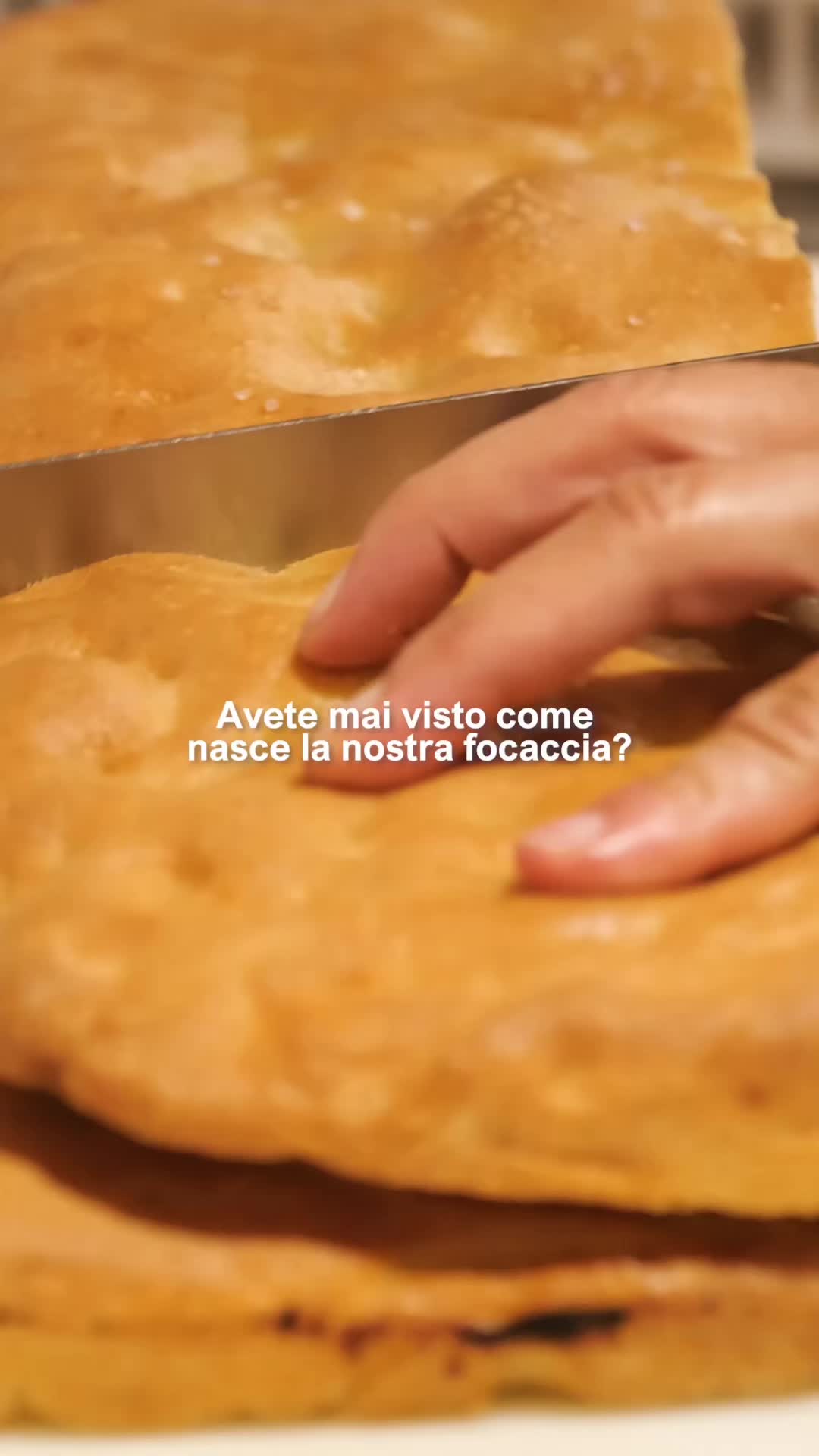 @Casearia Serafini