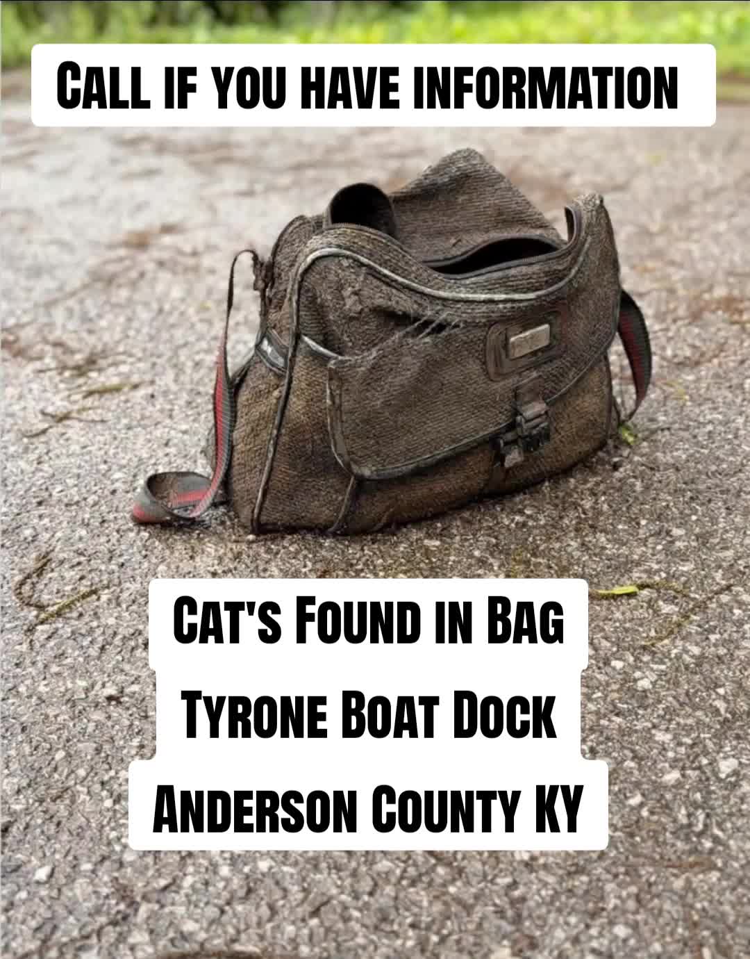 @No More Sad Kitties