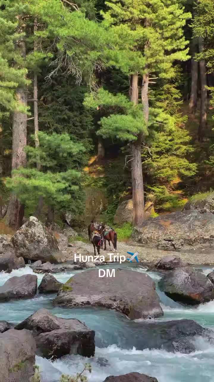 @𝗖𝗥𝗜𝗖𝗞𝗘𝗧 👀👅