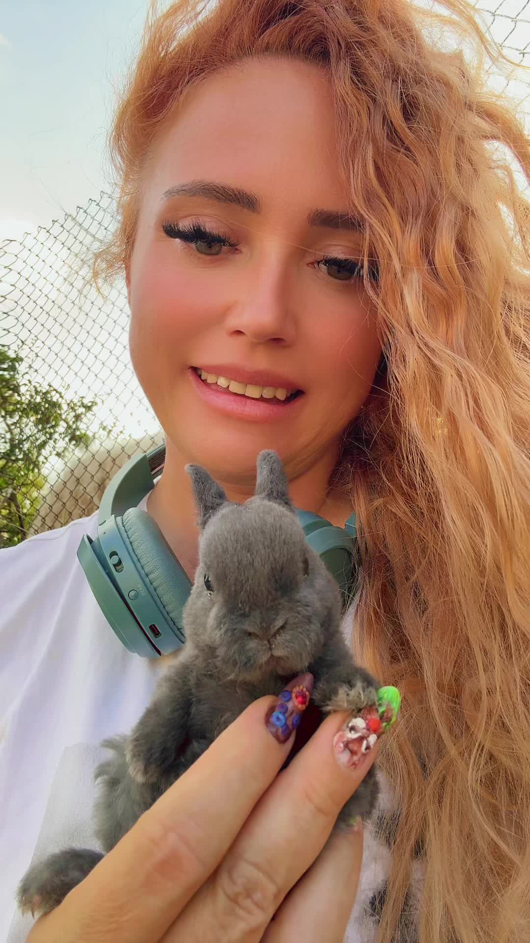 @Cvetirabbitvet