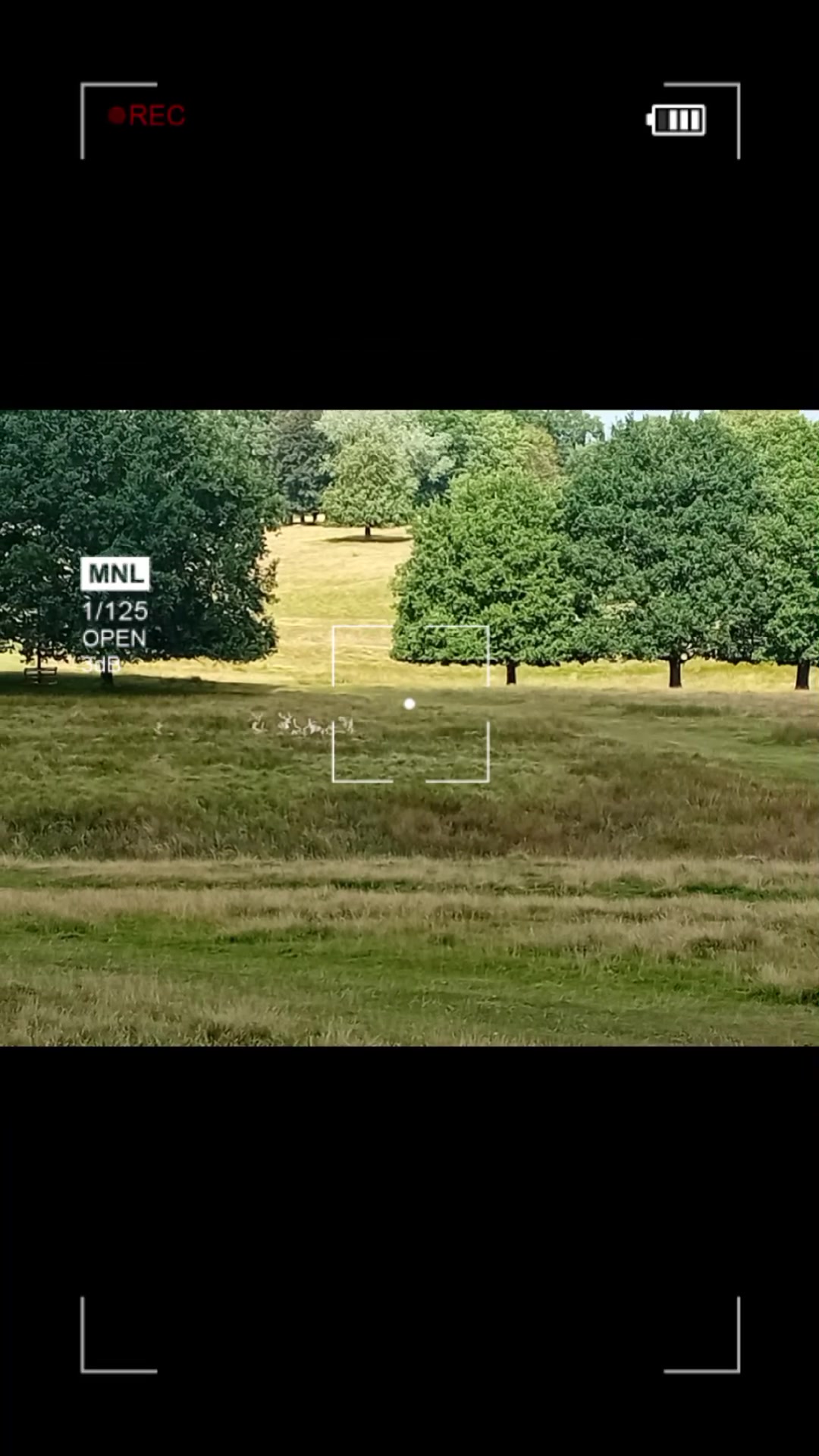 @mintmanc