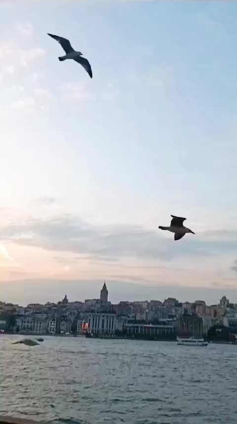 @hem gonyalı hem kırşehırliyim