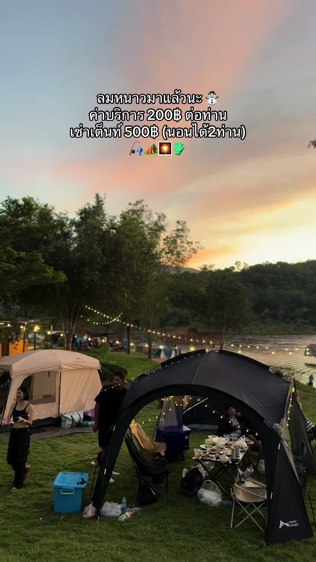 @🌳 Tamarind Tree Camping 🌳