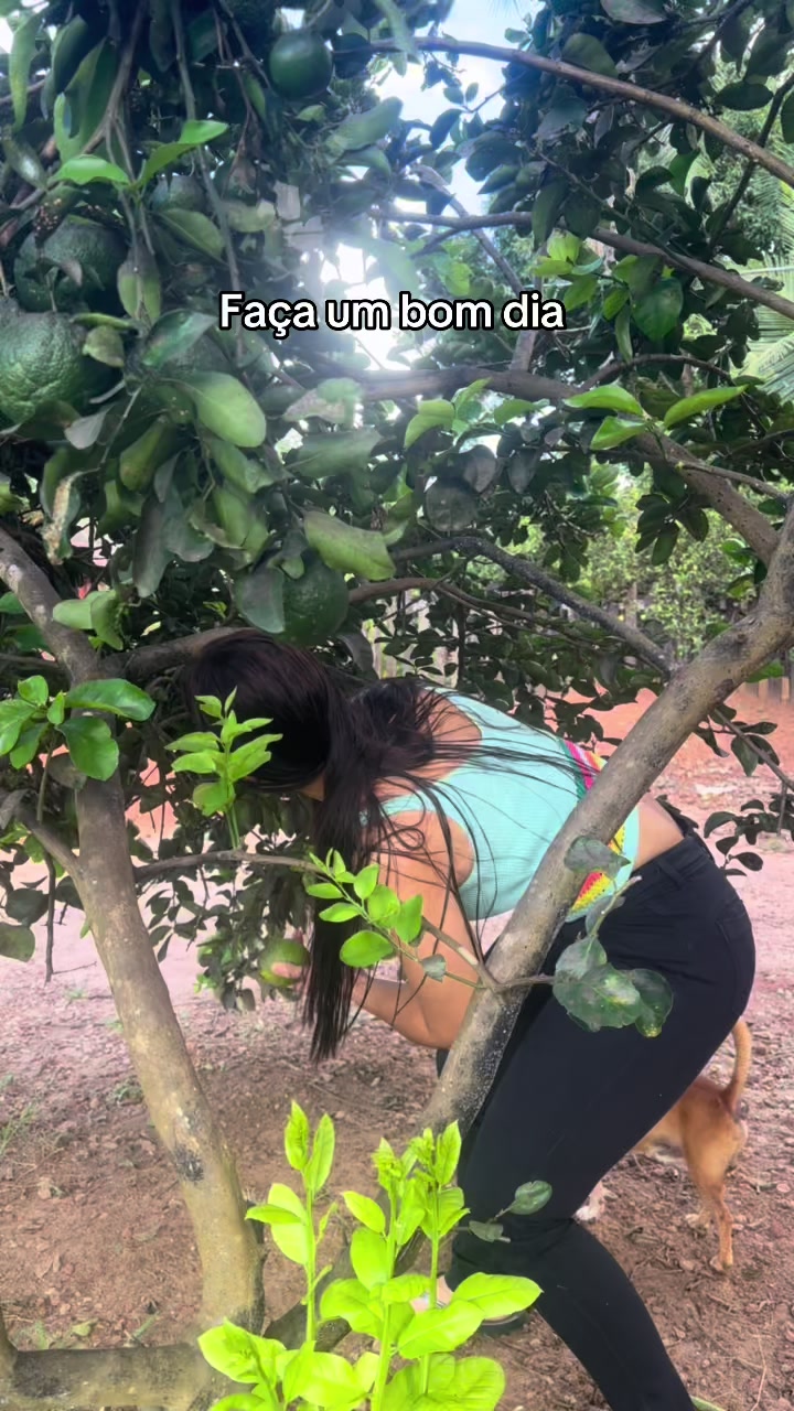 @Receitas da Alexandra 🍽️🥮😋