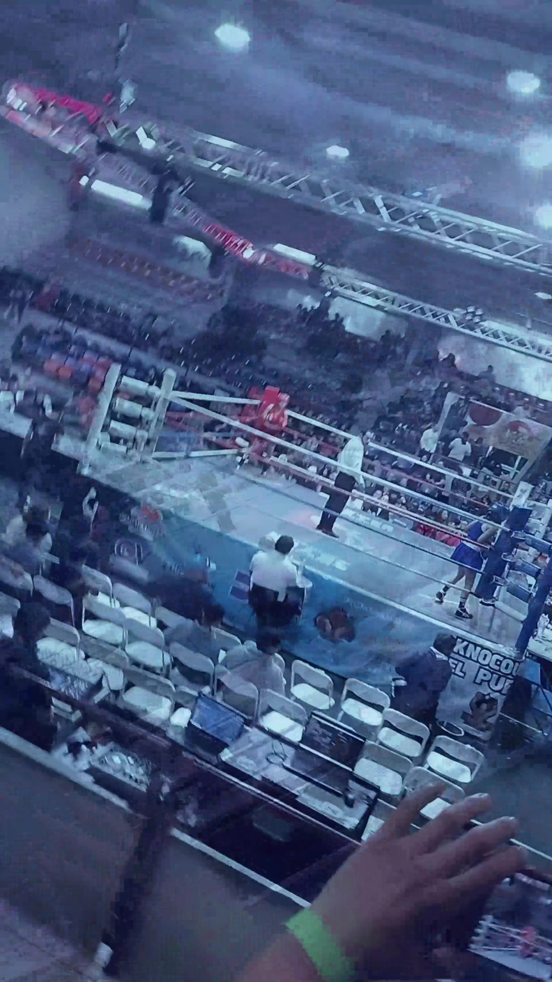 @palas boxing