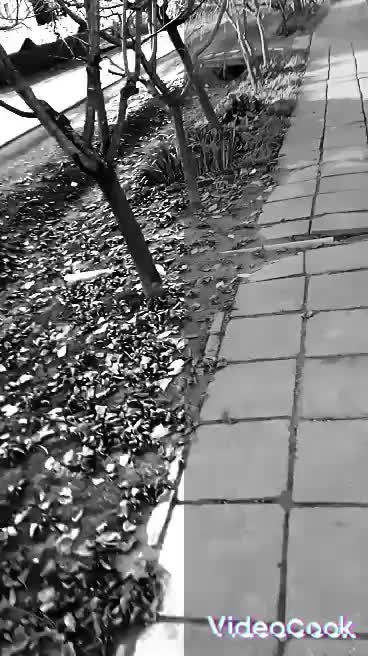 @Norberto Rosszi ♈
