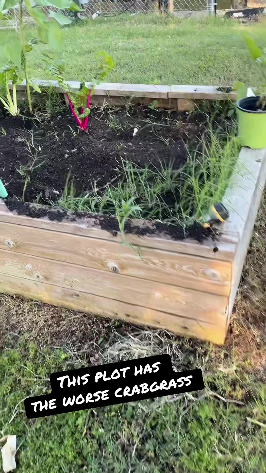 @gobigadventuresfarm