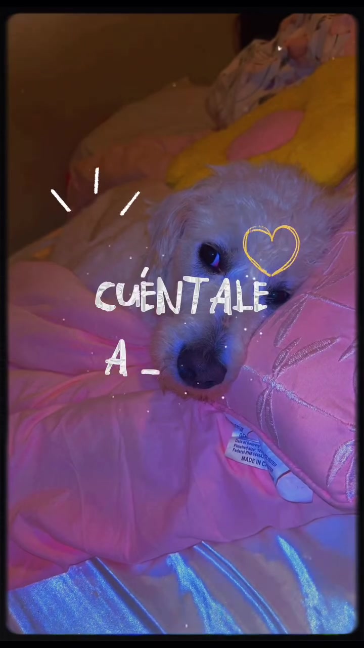 @𖤐☽♡ꕤ❀ℒ𝓊𝓃𝒶ℳ𝒶𝓎𝒶❀ꕤ♡☽𖤐