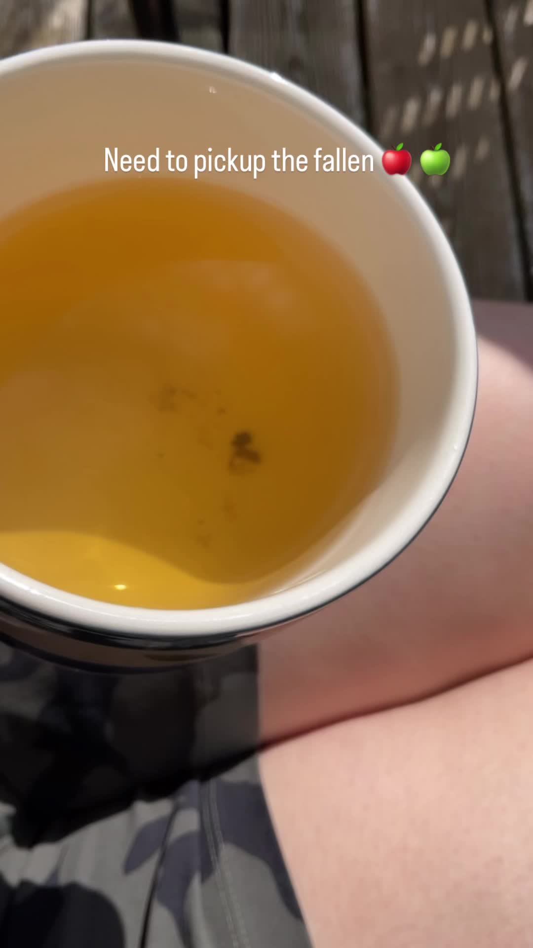 @شگوفه🪷☘️🐬🎀