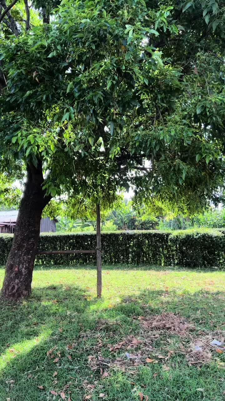 @tabinya