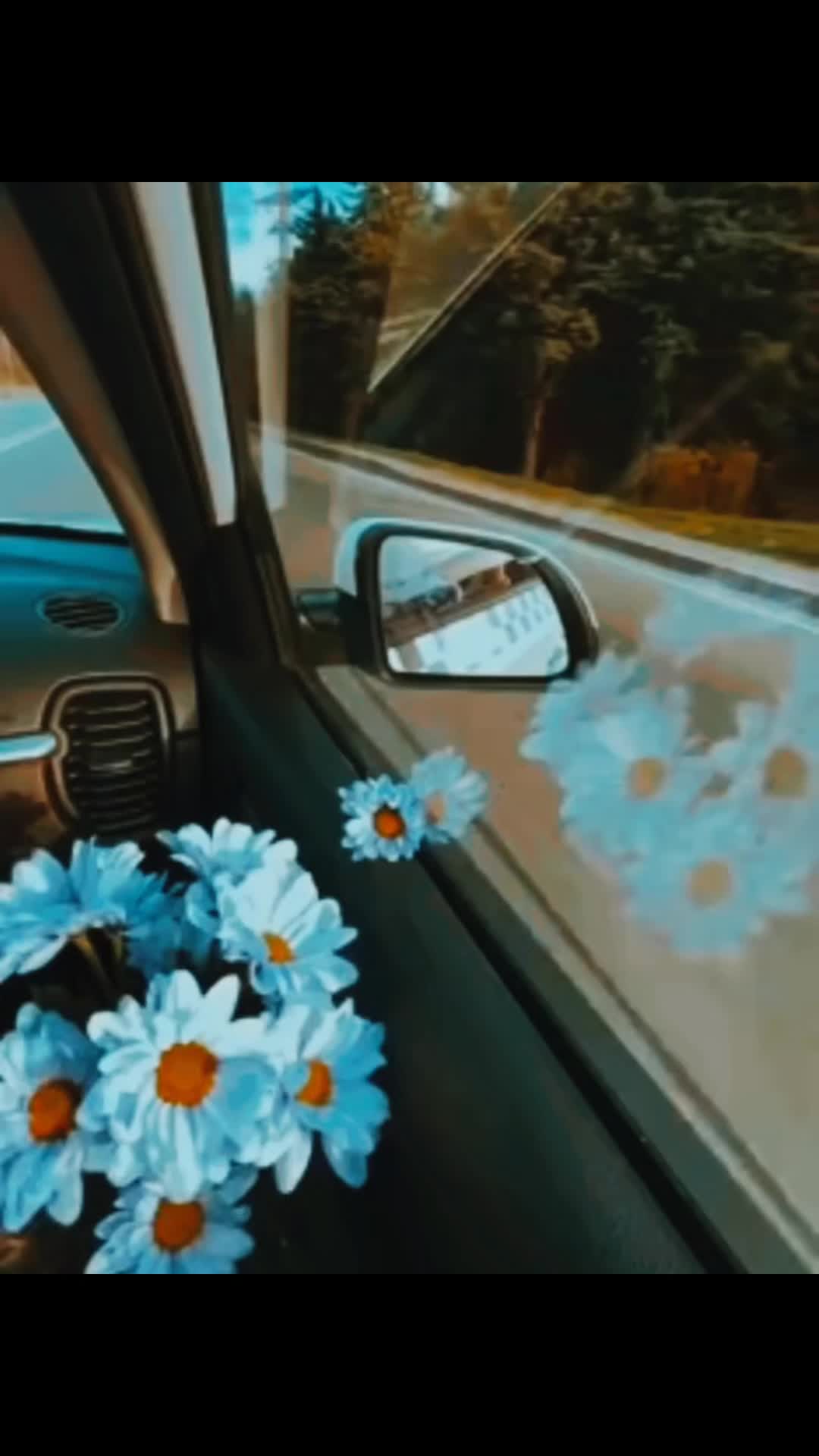 @حبہ🫀