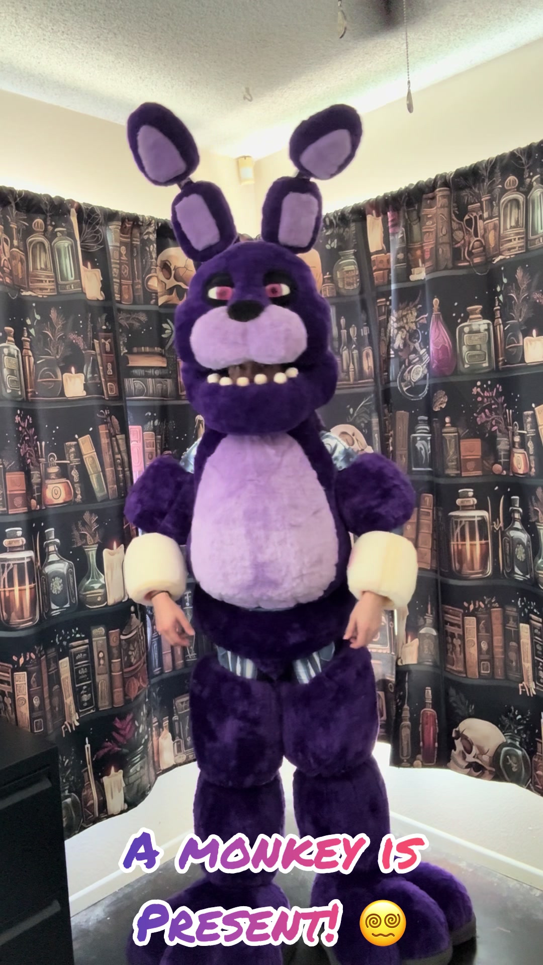 @garciasrobobunnyworkshop