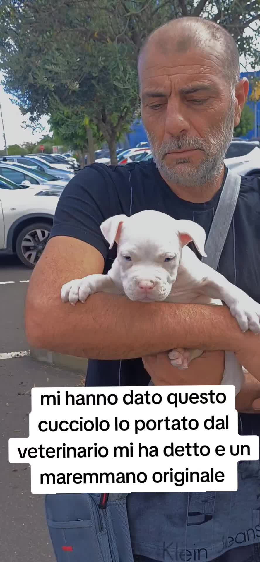@⚠️ IL RE DEI BULLY ⚠️
