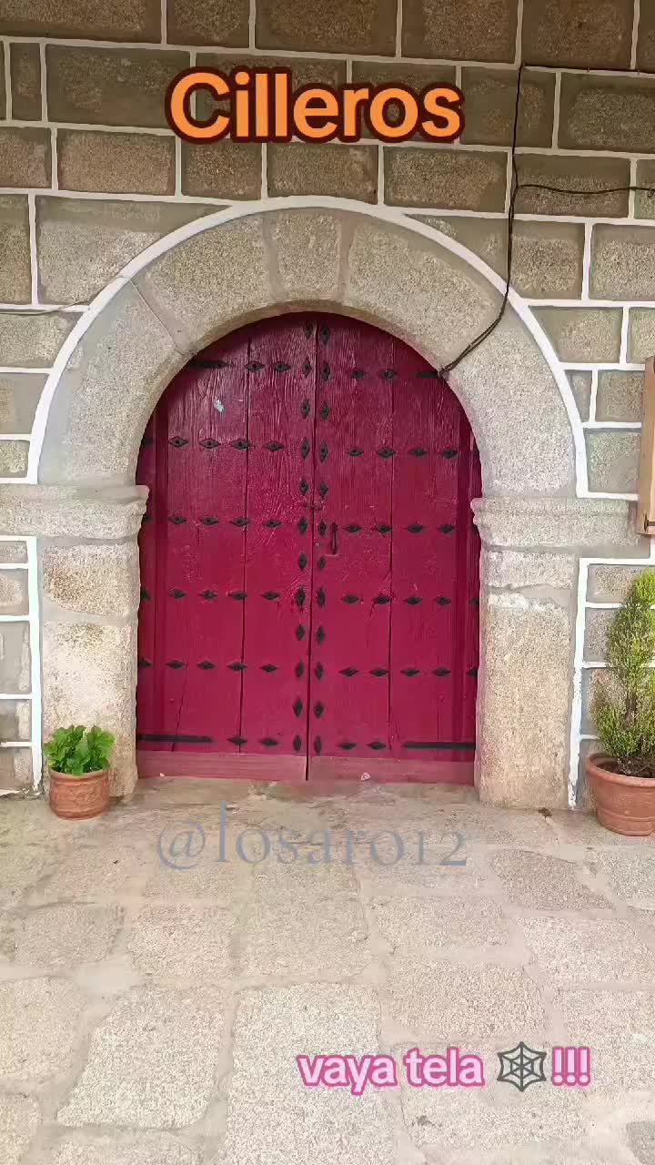 @🪙Losaro12🍯