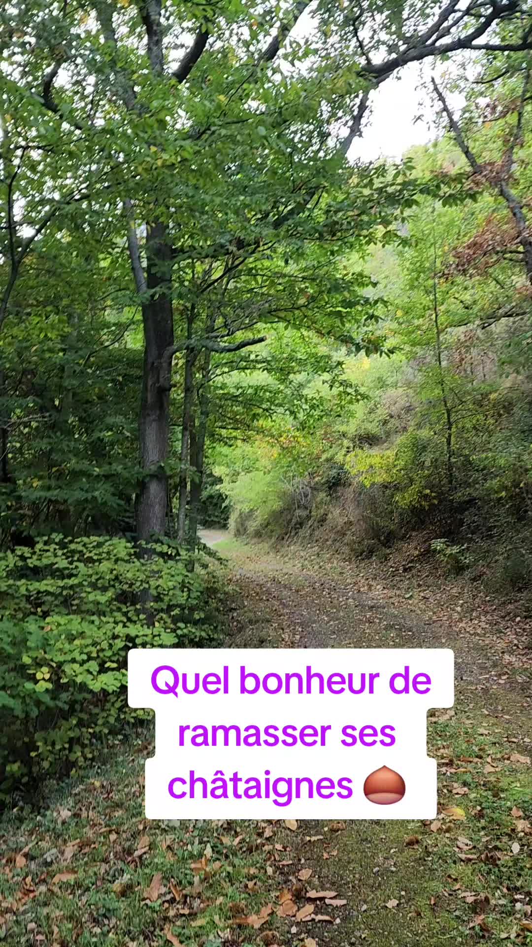 @Enayaah