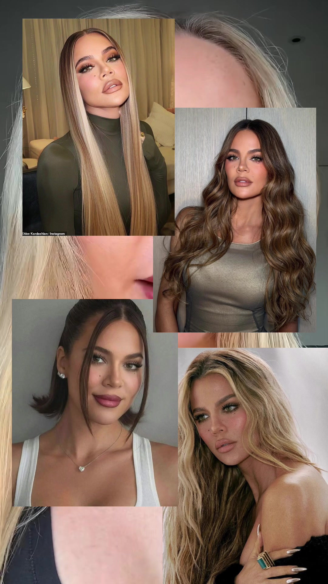 @British Barbie | transitions