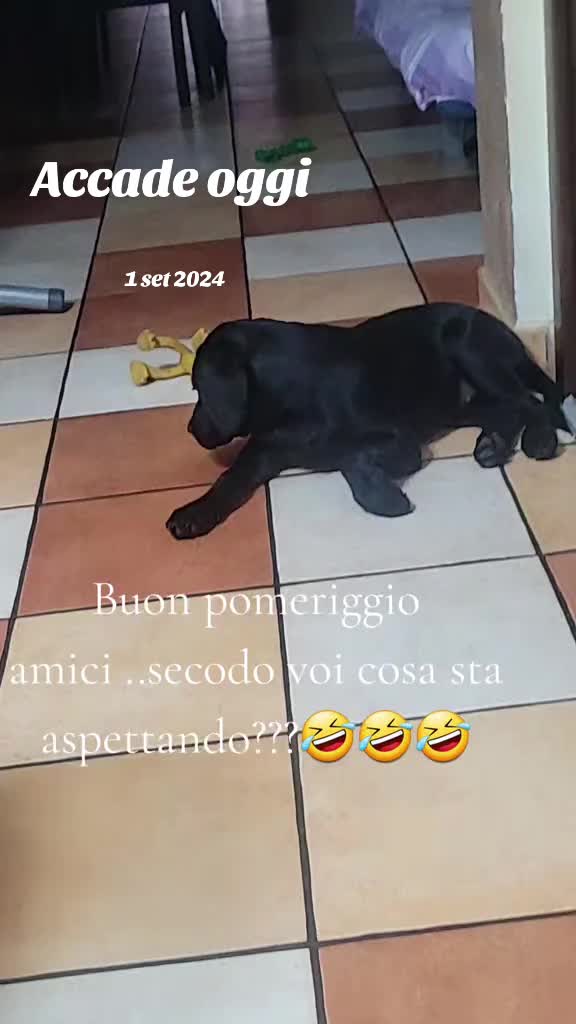 @Vale....🤗