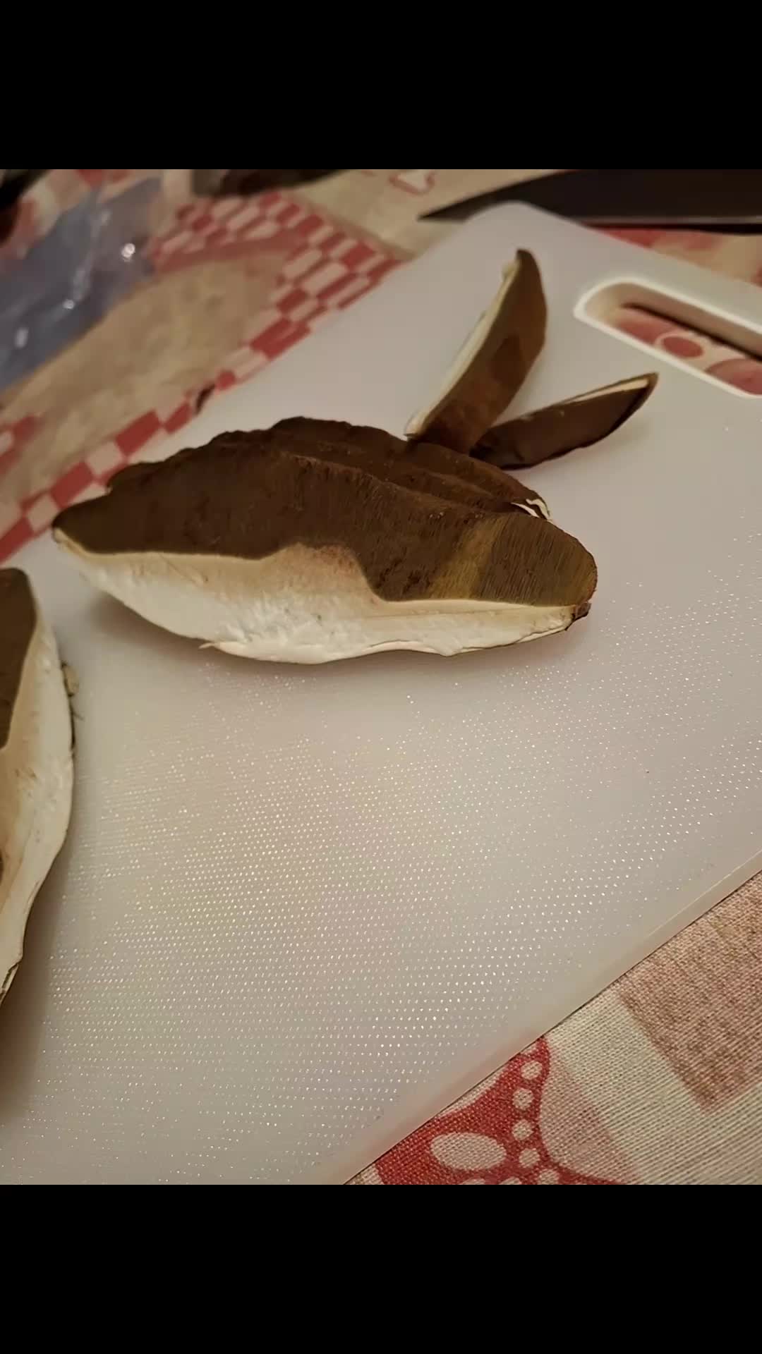 @vespeettooo