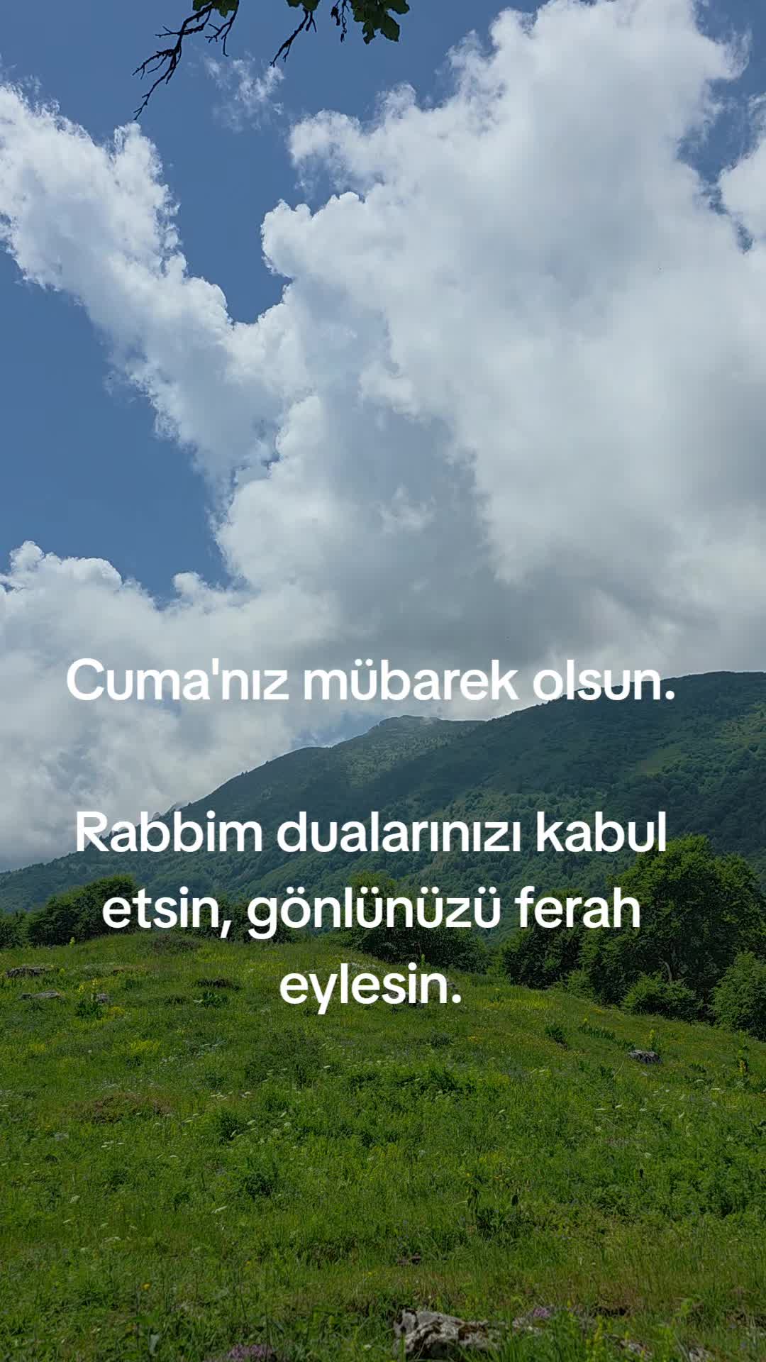 @Ertan akin