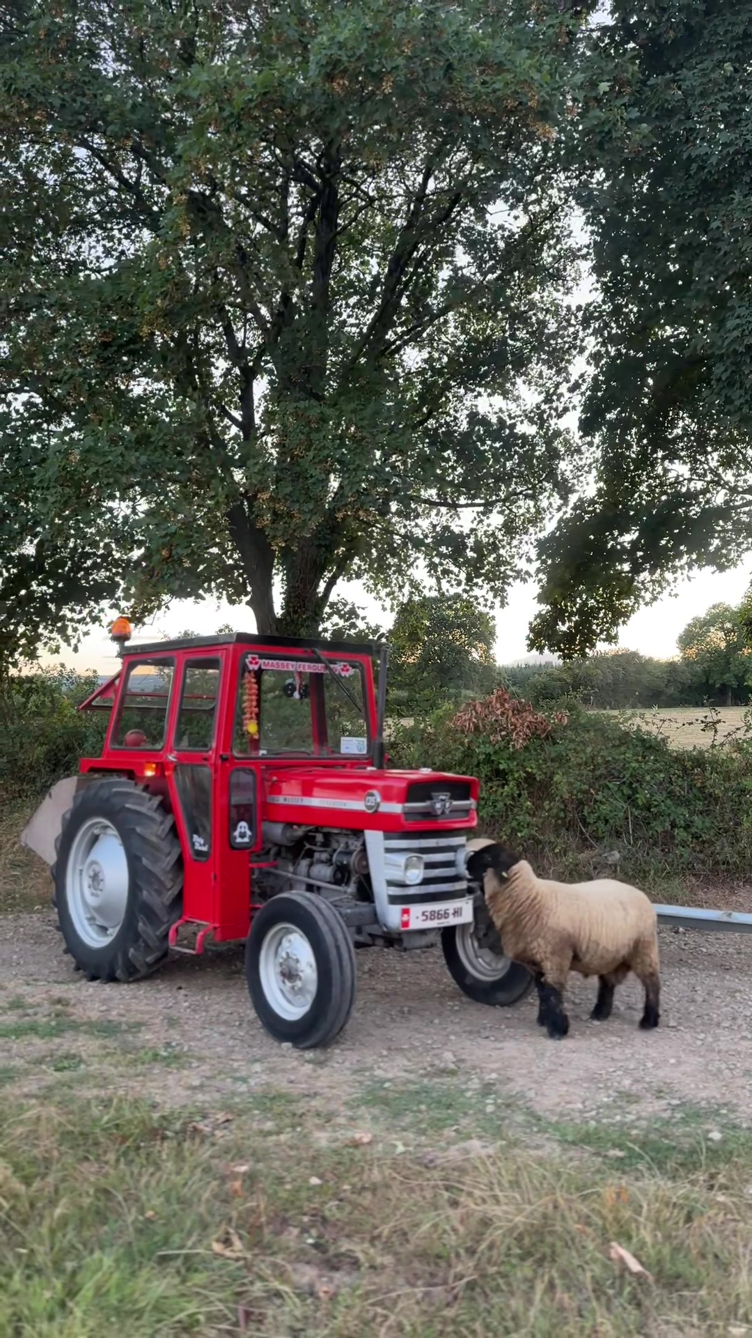 @Jim Madigan 📸 🚜