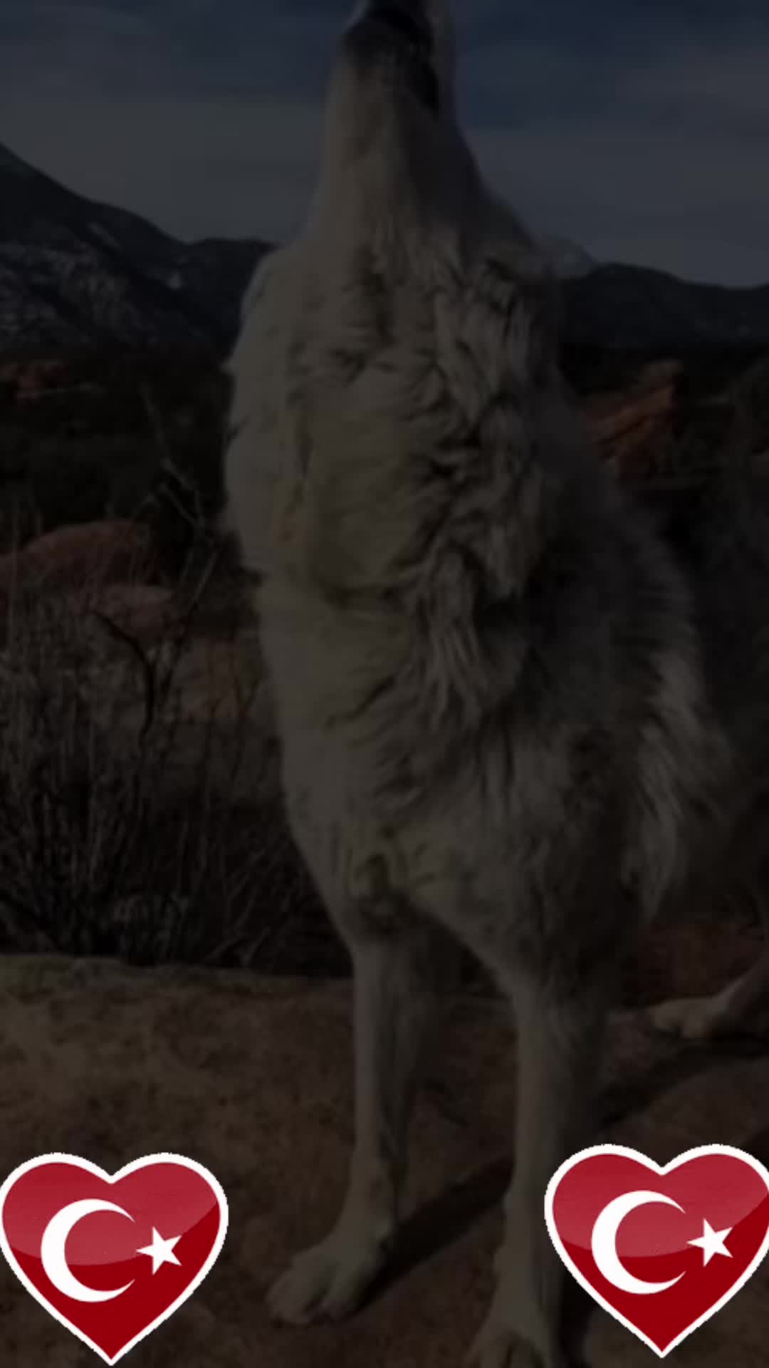 @Hanımağa 02