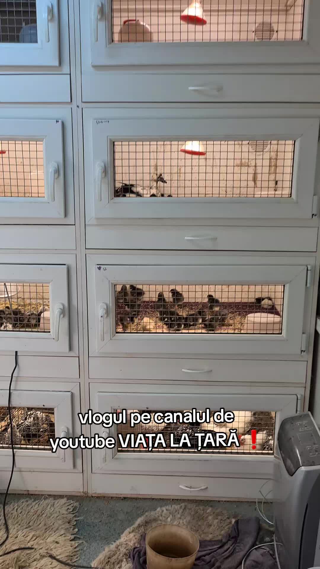 @Bogdan Hriscu