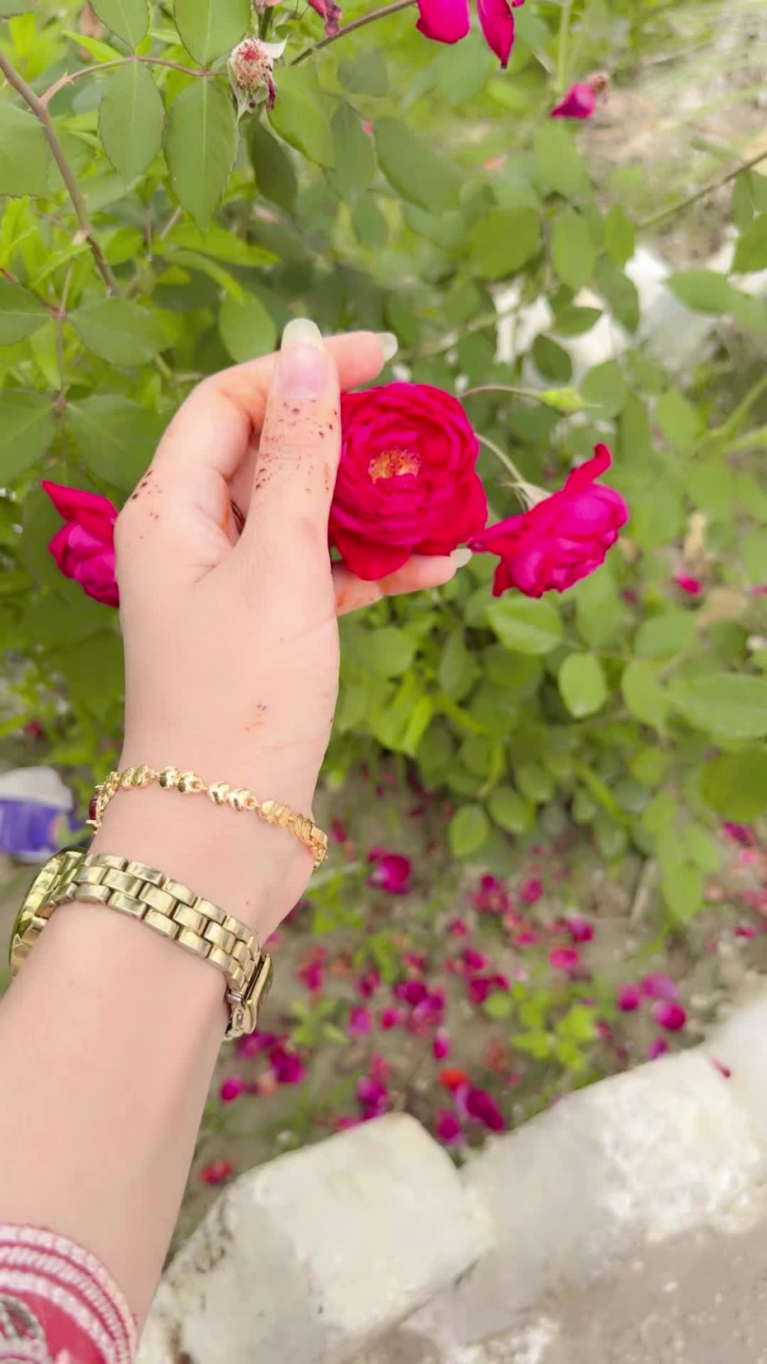 @Mantasha_zahra🥀