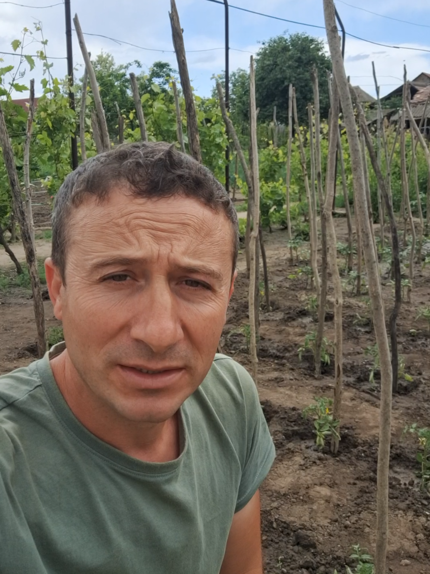 @Gradina Olteanului Enciu Doru