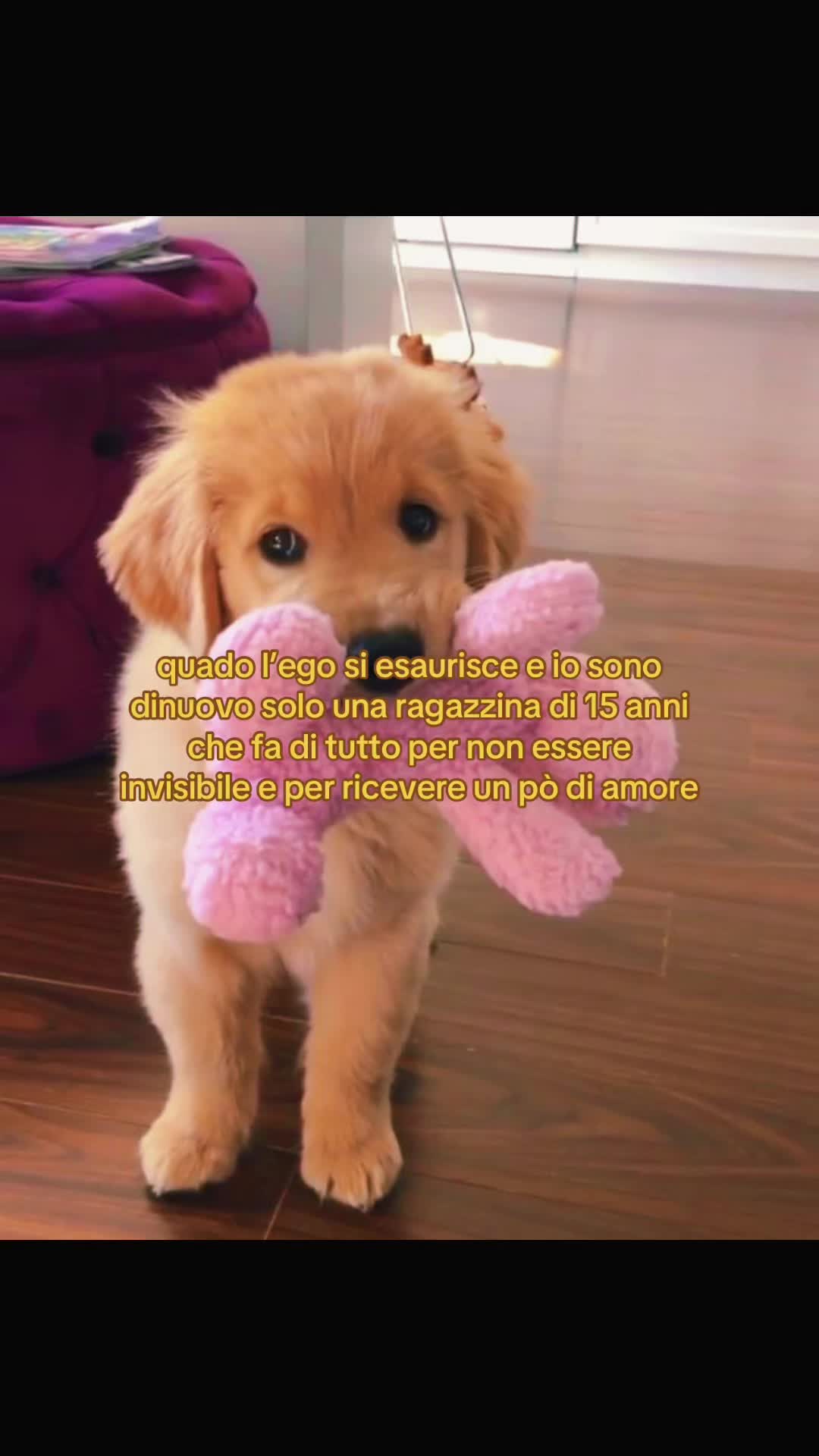@asia
