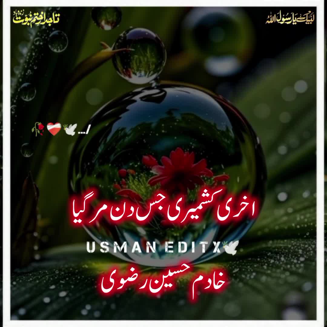 @سلطنت رضویہ 😍😍