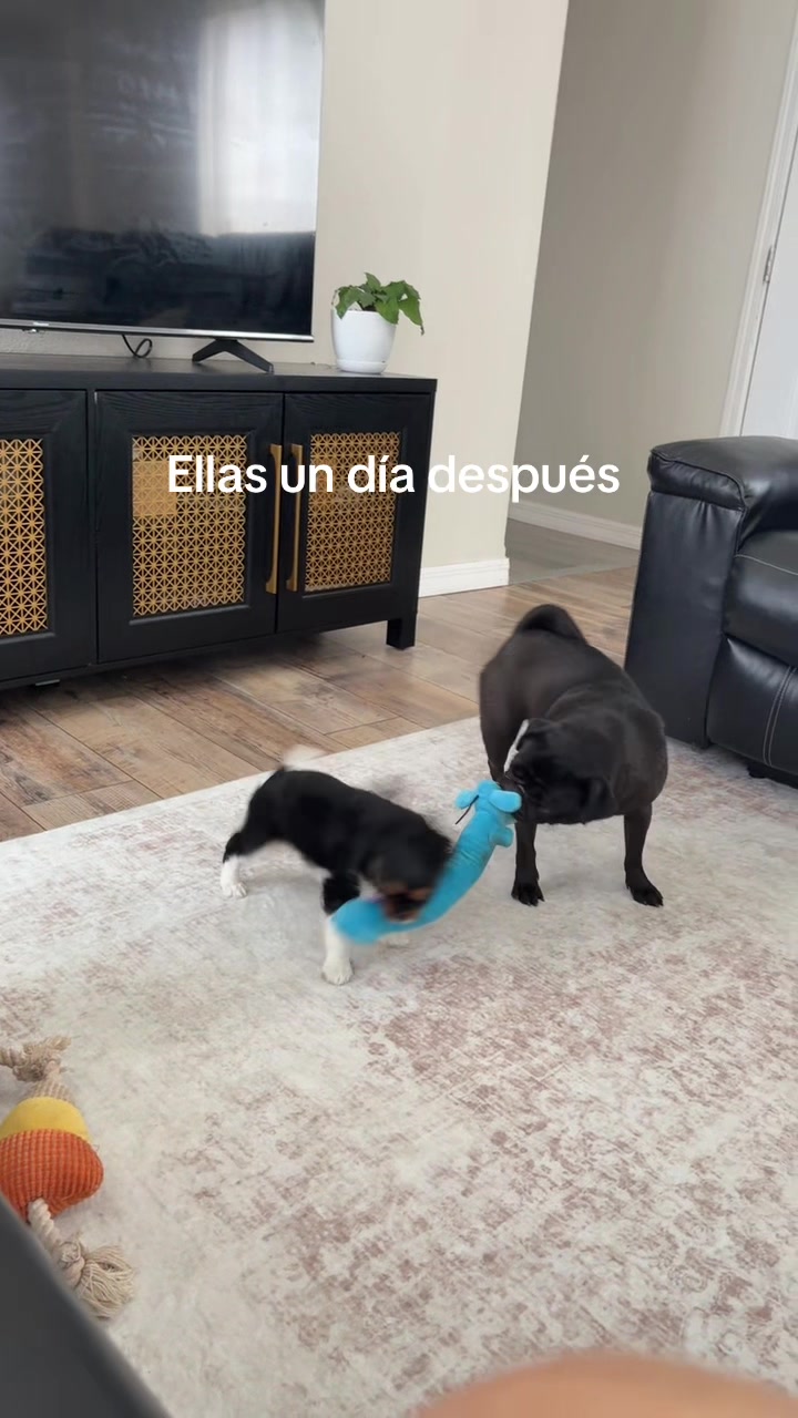 @Esmeralda💕
