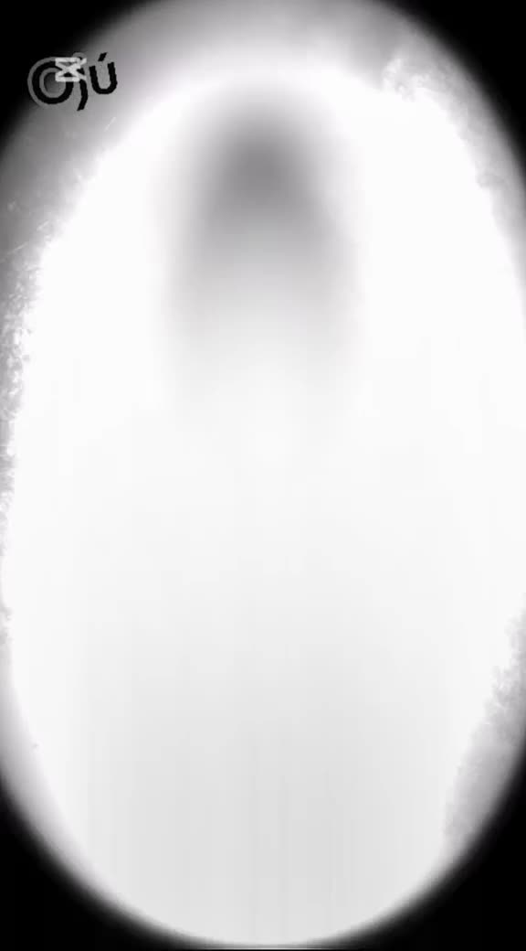 @Alicia💜💫