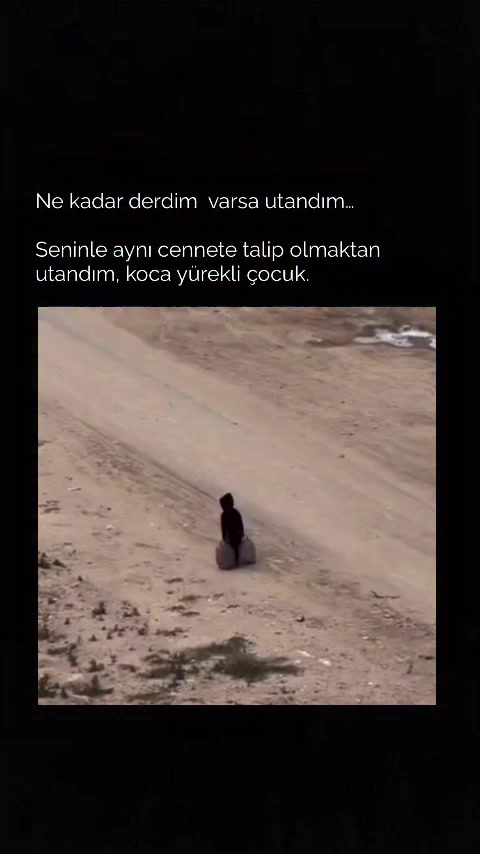 @ben feroo🖐️
