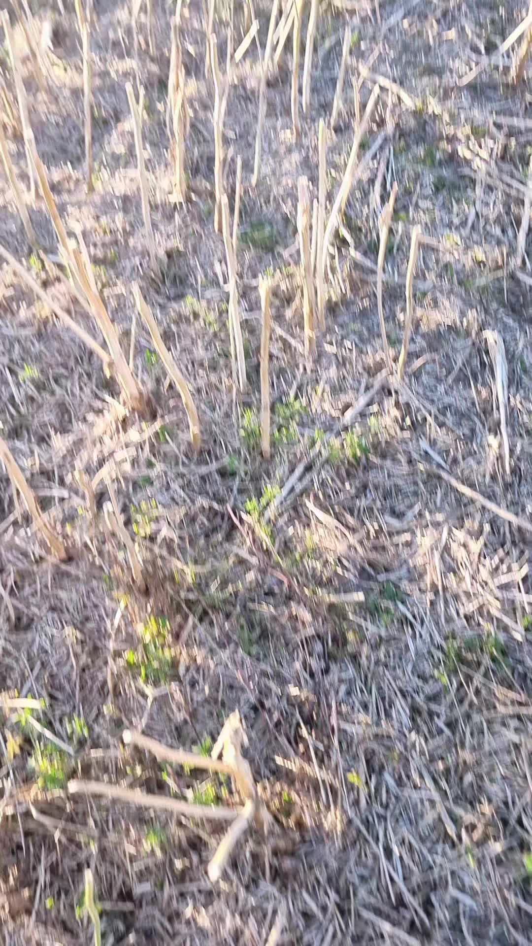 @Lantbruk är livet🚜🤠🌾