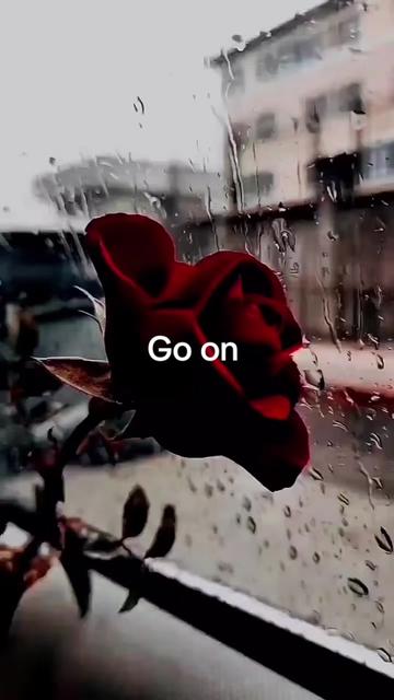 @John Ross