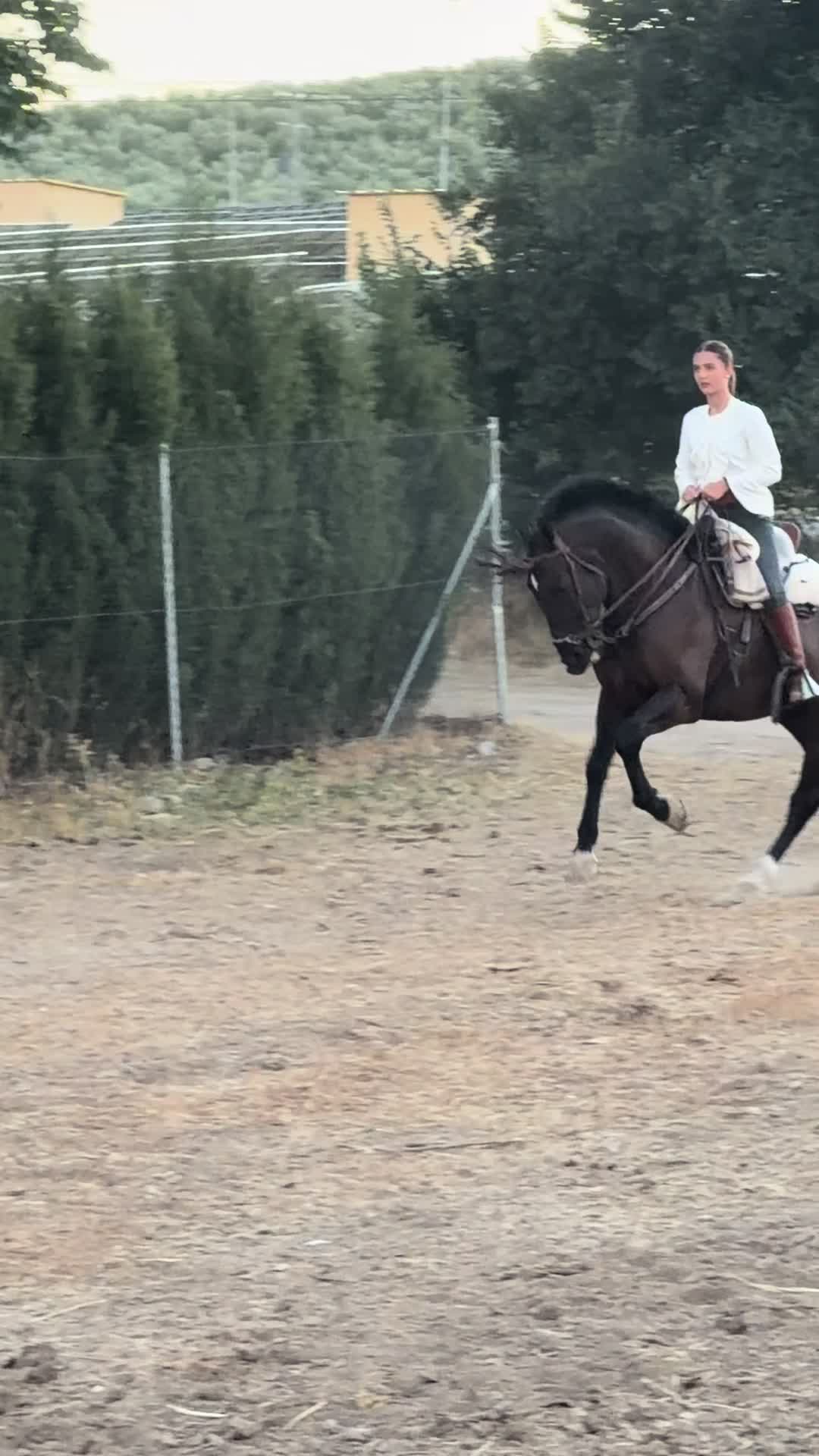 @Sandra Molina🐎🇪🇸